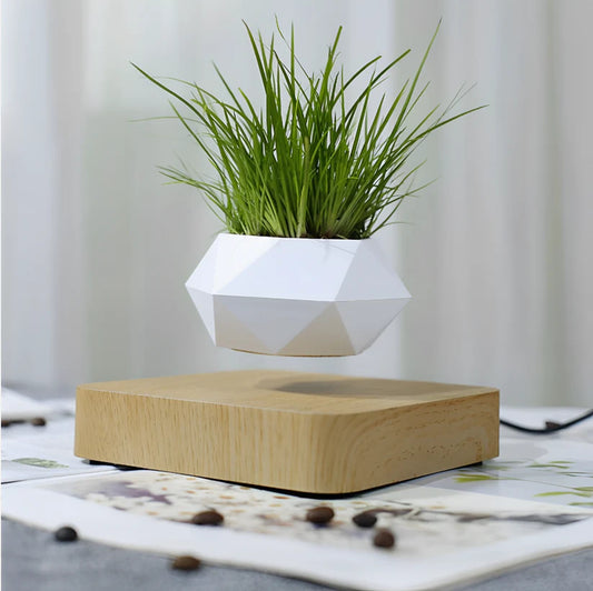 Levitating Magnetic Planter