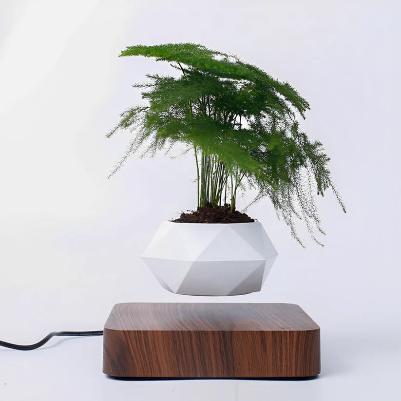 Levitating Magnetic Planter