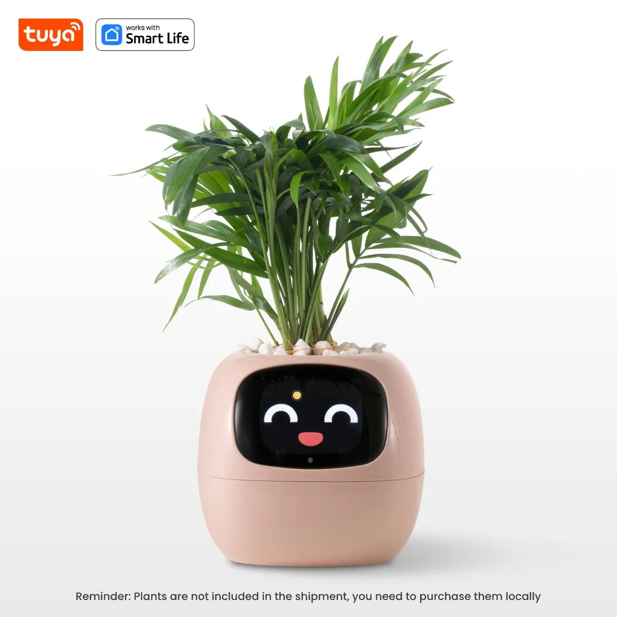 AI Smart Planter for Effortless Plant Care