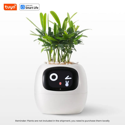 AI Smart Planter for Effortless Plant Care