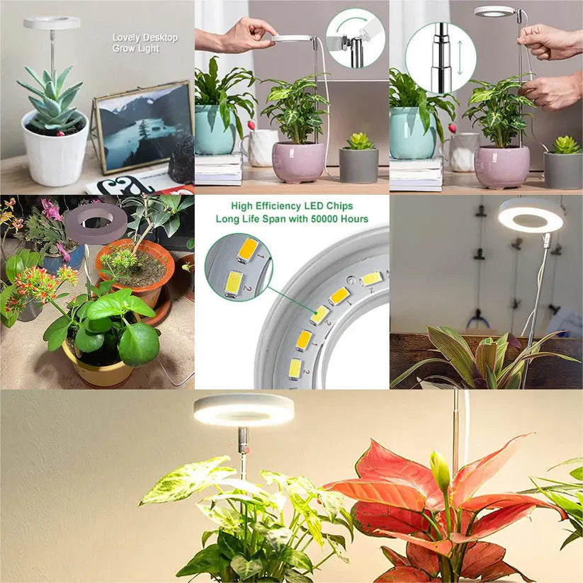 Plant Growth LED Light