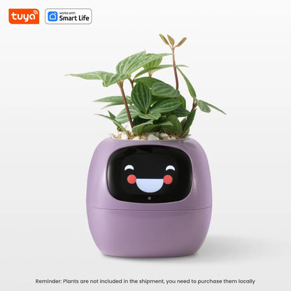 AI Smart Planter for Effortless Plant Care