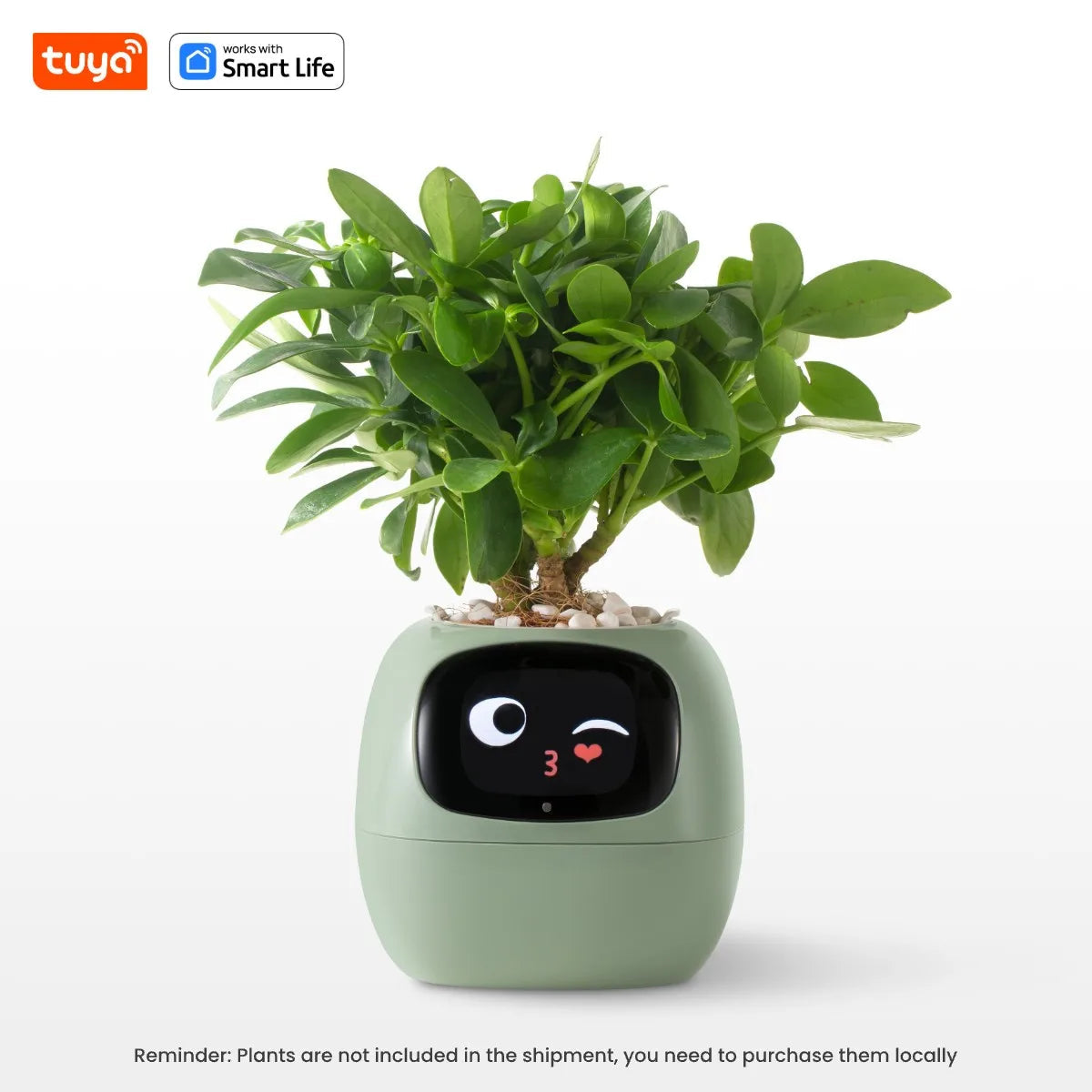 AI Smart Planter for Effortless Plant Care