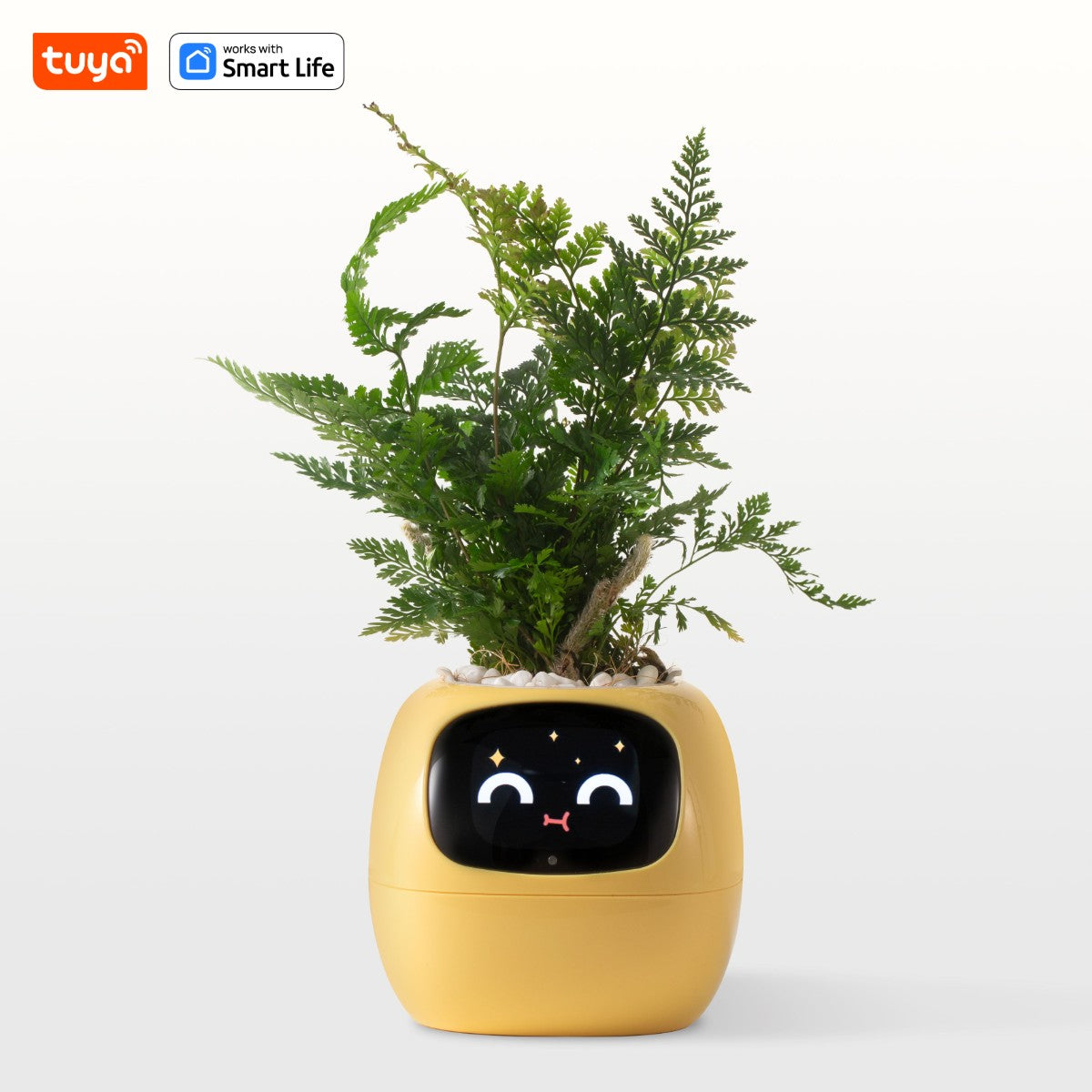 AI Smart Planter for Effortless Plant Care